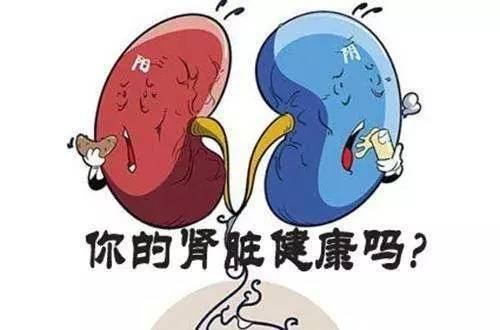 3,没食欲:肾病常见症状包括呕吐,恶心,没食欲等.