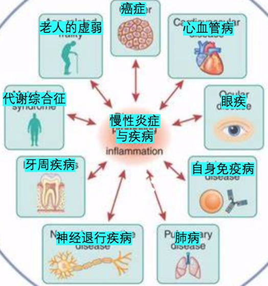 如何应对隐形健康杀手慢性炎症的检测与预防