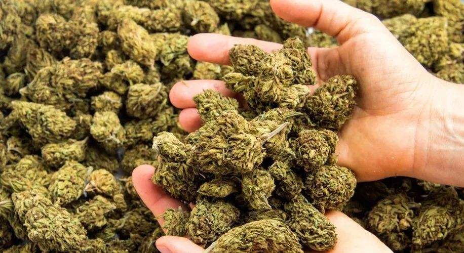 三大毒品冰毒海洛因大麻吸食后的症状 毒品相关知识 上海凯创生物技术有限公司 三大毒品冰毒海洛因大麻吸食后的症状 毒品相关知识 上海凯创生物技术有限公司