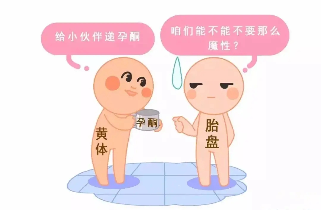 HCG和孕酮低一定会流产？备孕女性必须知道的孕早期“秘密”