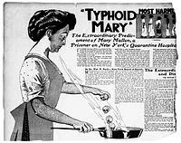 1909年伤寒玛丽在报纸上的插图