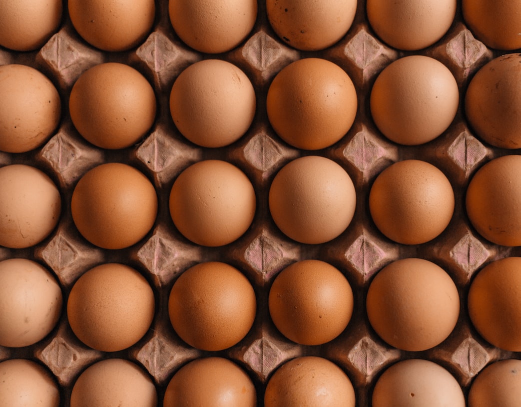 长斑的鸡蛋就是感染了沙门氏菌吗