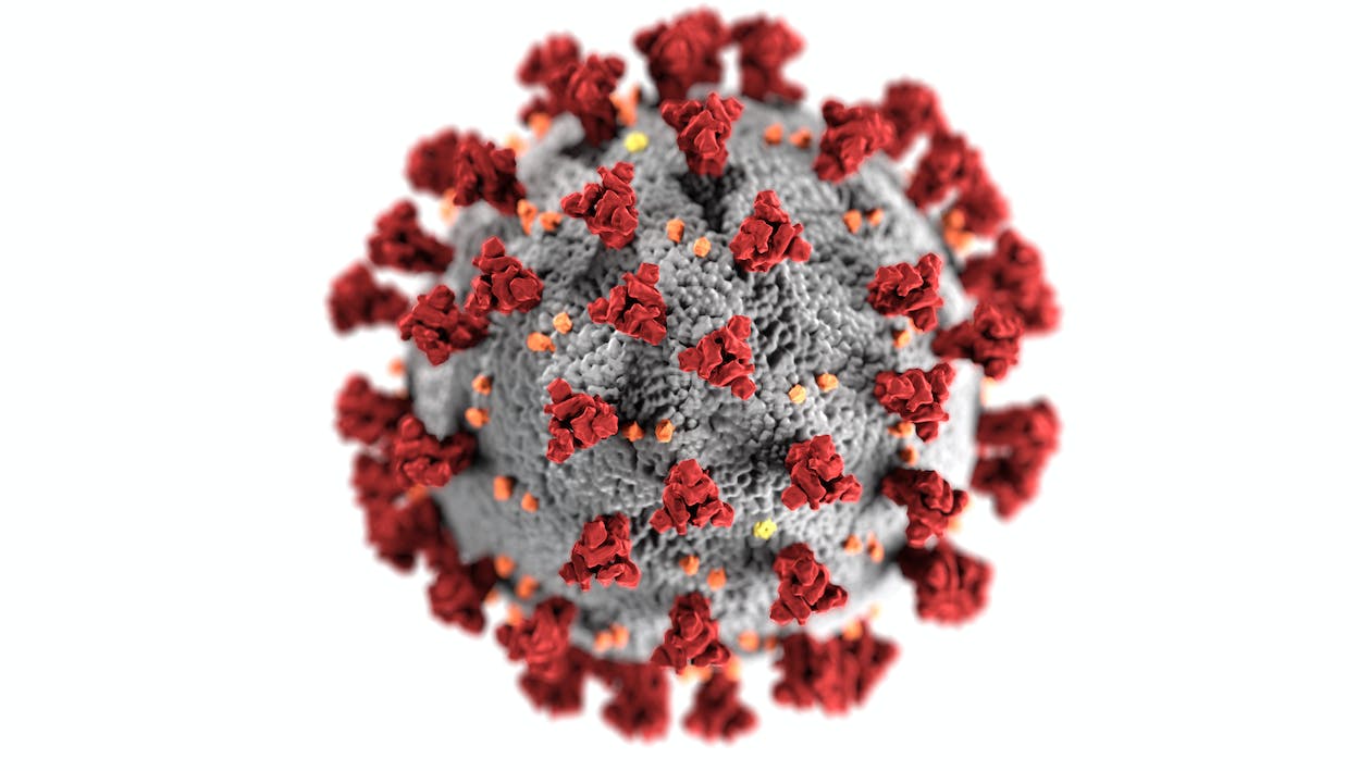 丙肝病毒在实验室里的三种检测方法