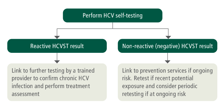 HCVST检测流程