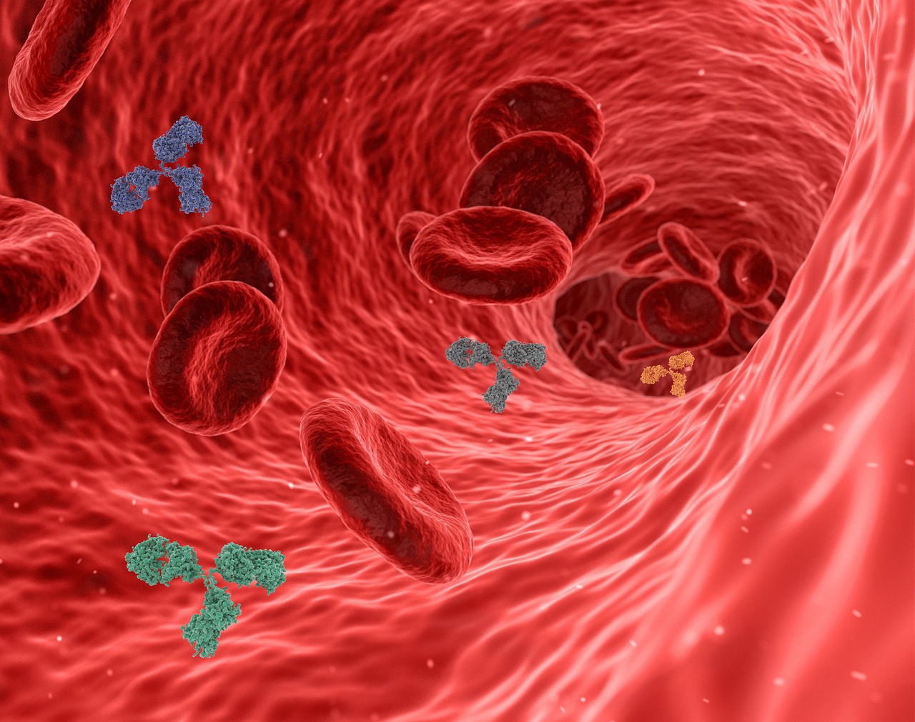 血液中的重要指标物质D二聚体的临床应用